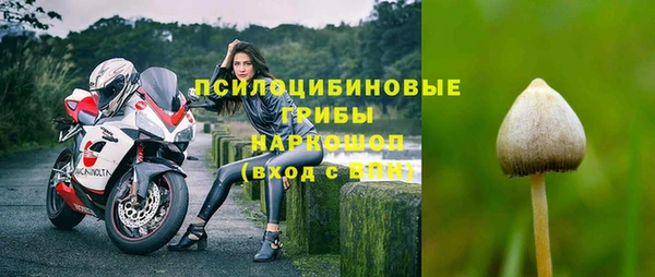 эйфоретик Алзамай